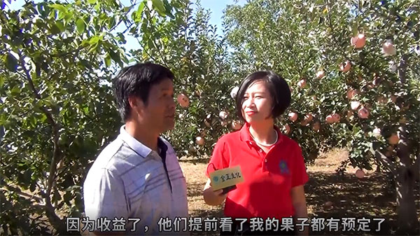 靈寶蘋(píng)果用戶對(duì)金正5個(gè)15贊不絕口